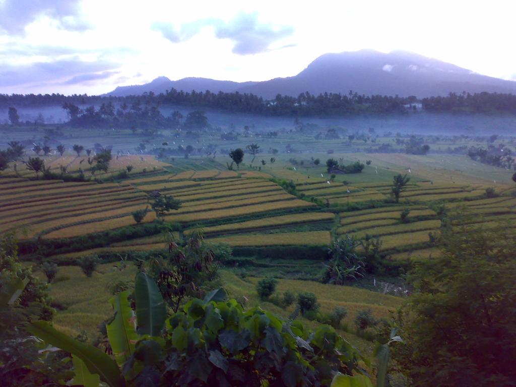 Dau Homestay Karangasem Exterior foto